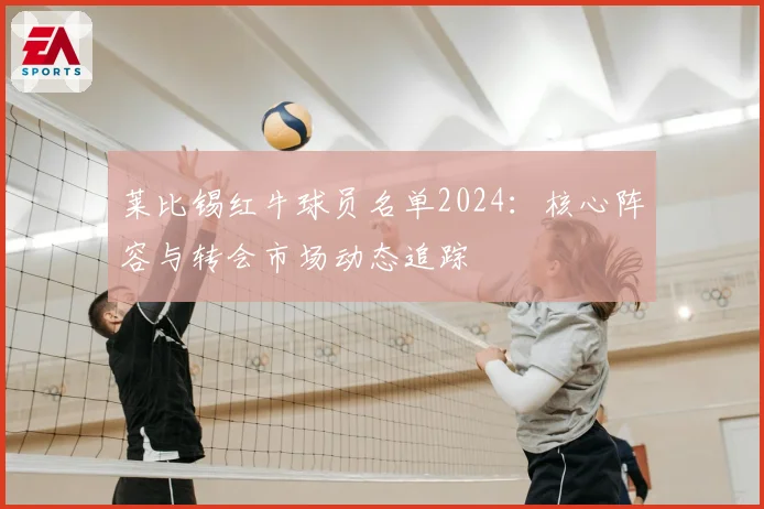 莱比锡红牛球员名单2024：核心阵容与转会市场动态追踪